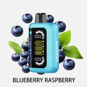 UPENDS CD30000 Blueberry Raspberry