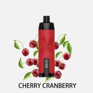 UPENDS MT12000 Cherry Cranberry